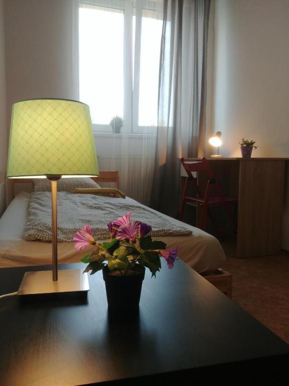 Near Main Railway And Bus Station Apartman Brünn  Kültér fotó